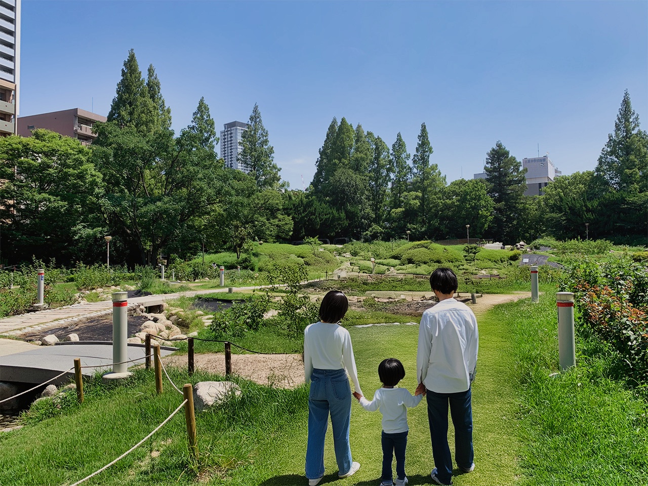 靱公園のバラ園