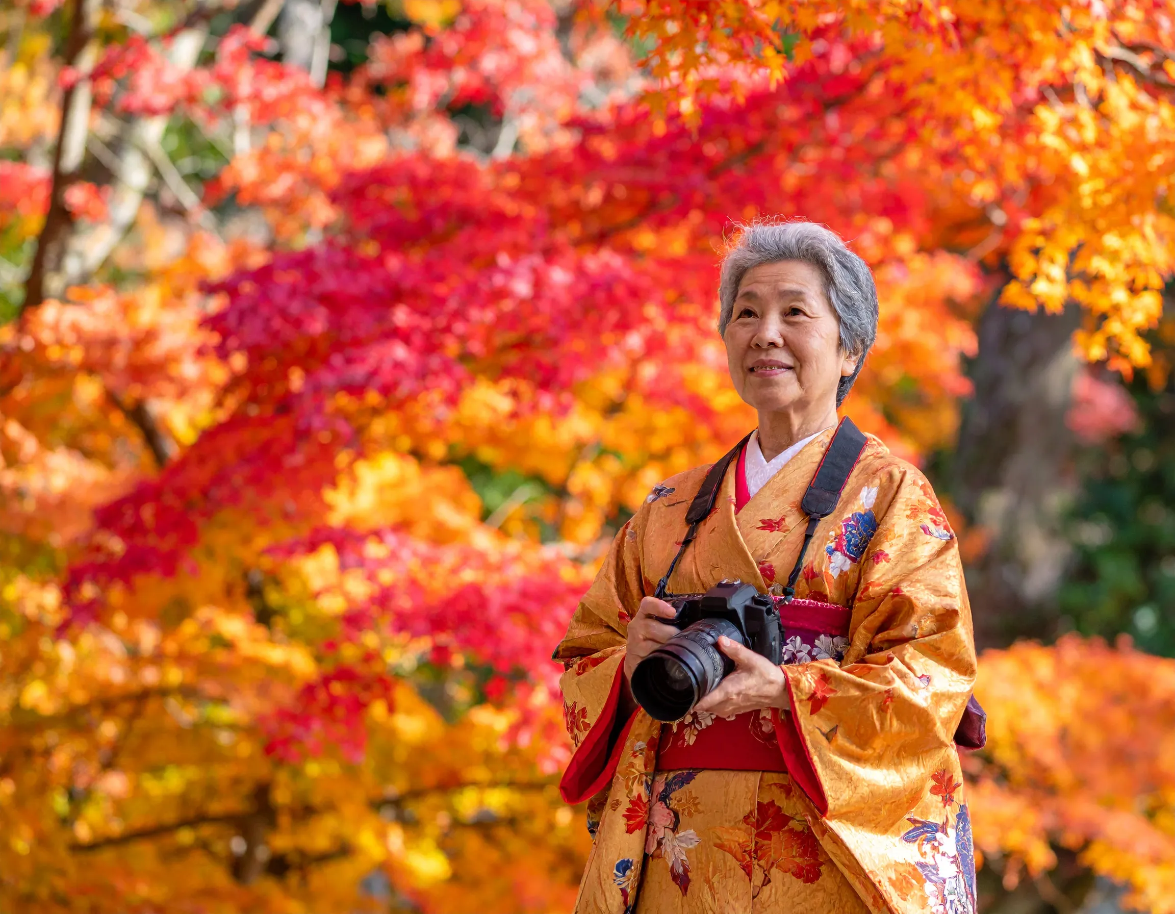 紅葉 1