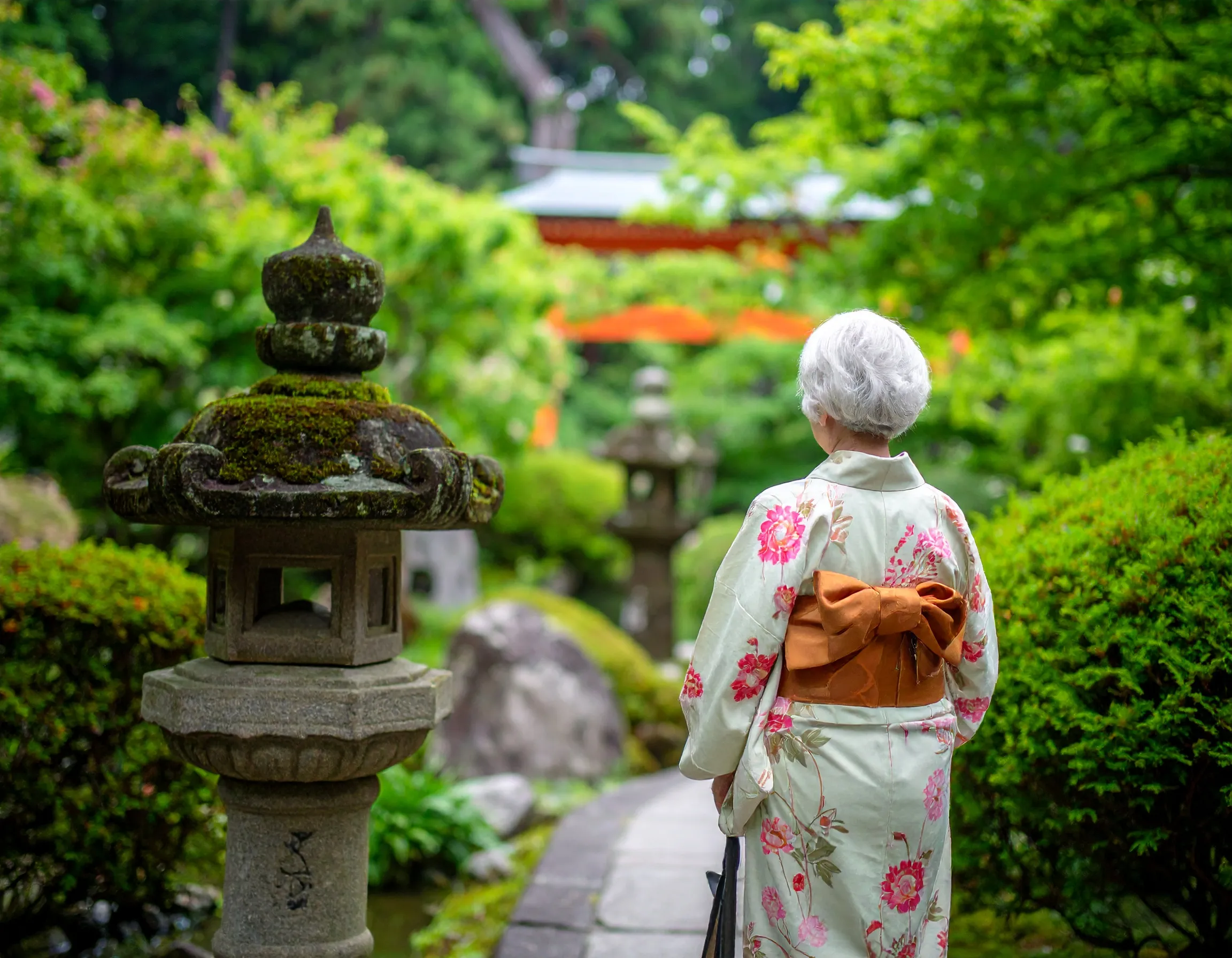 和の庭園