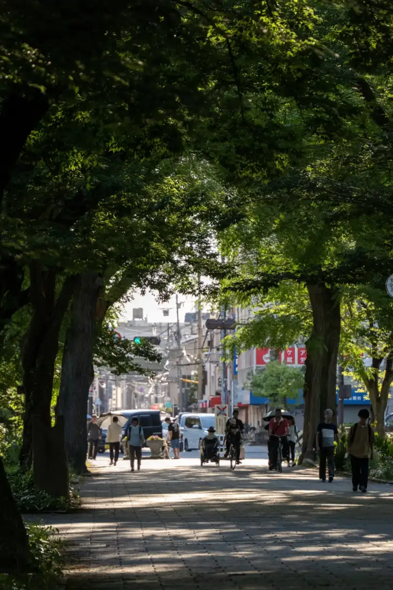 大阪市住之江区の住吉公園にある木立に囲まれた並木道