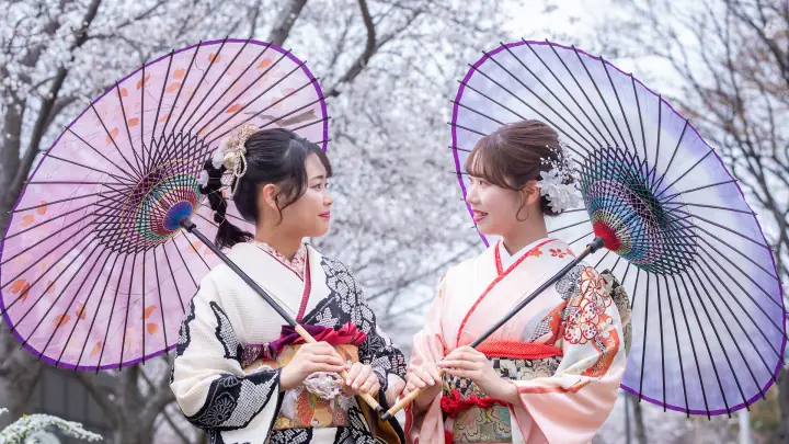 桜並木の公園で、和傘を差して向かい合う振袖姿の女性2人