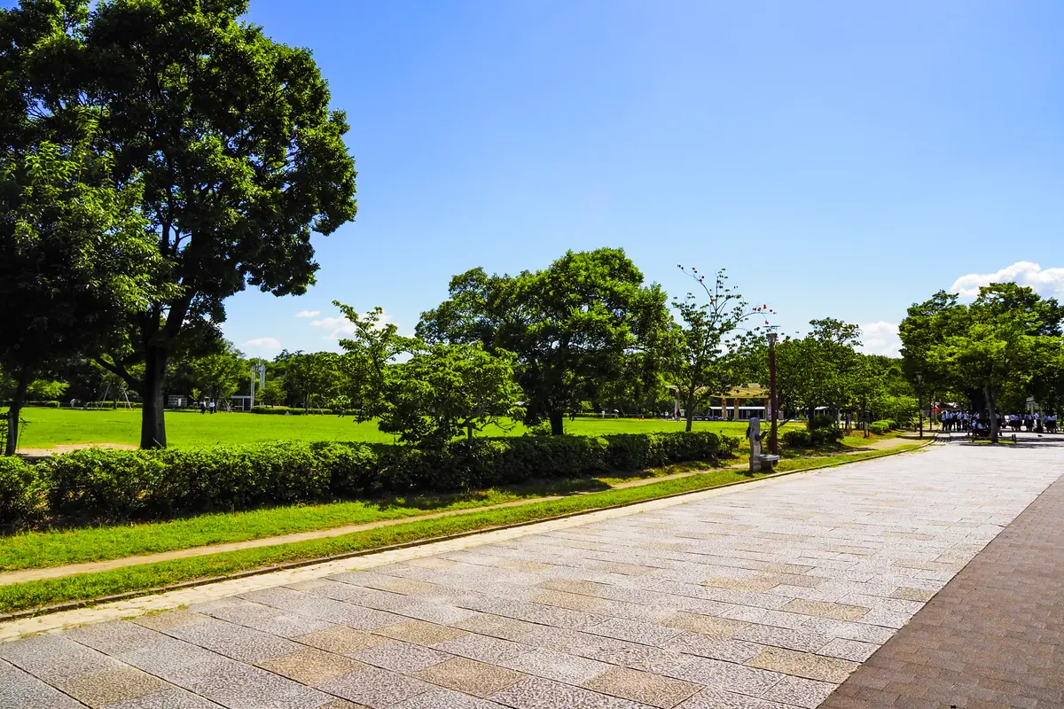 浜寺公園の景観を活かした撮影イメージ