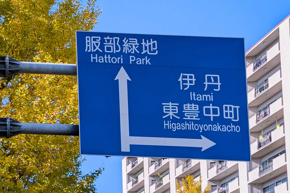 服部緑地の景観を活かした撮影イメージ
