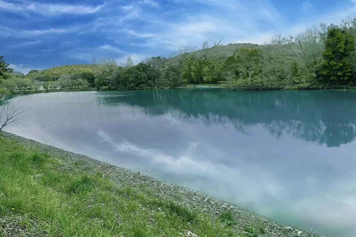 宝が池公園の景観を活かした撮影イメージ