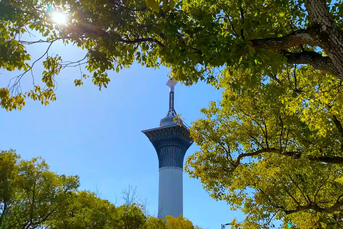 花博記念公園鶴見緑地の景観を活かした撮影イメージ