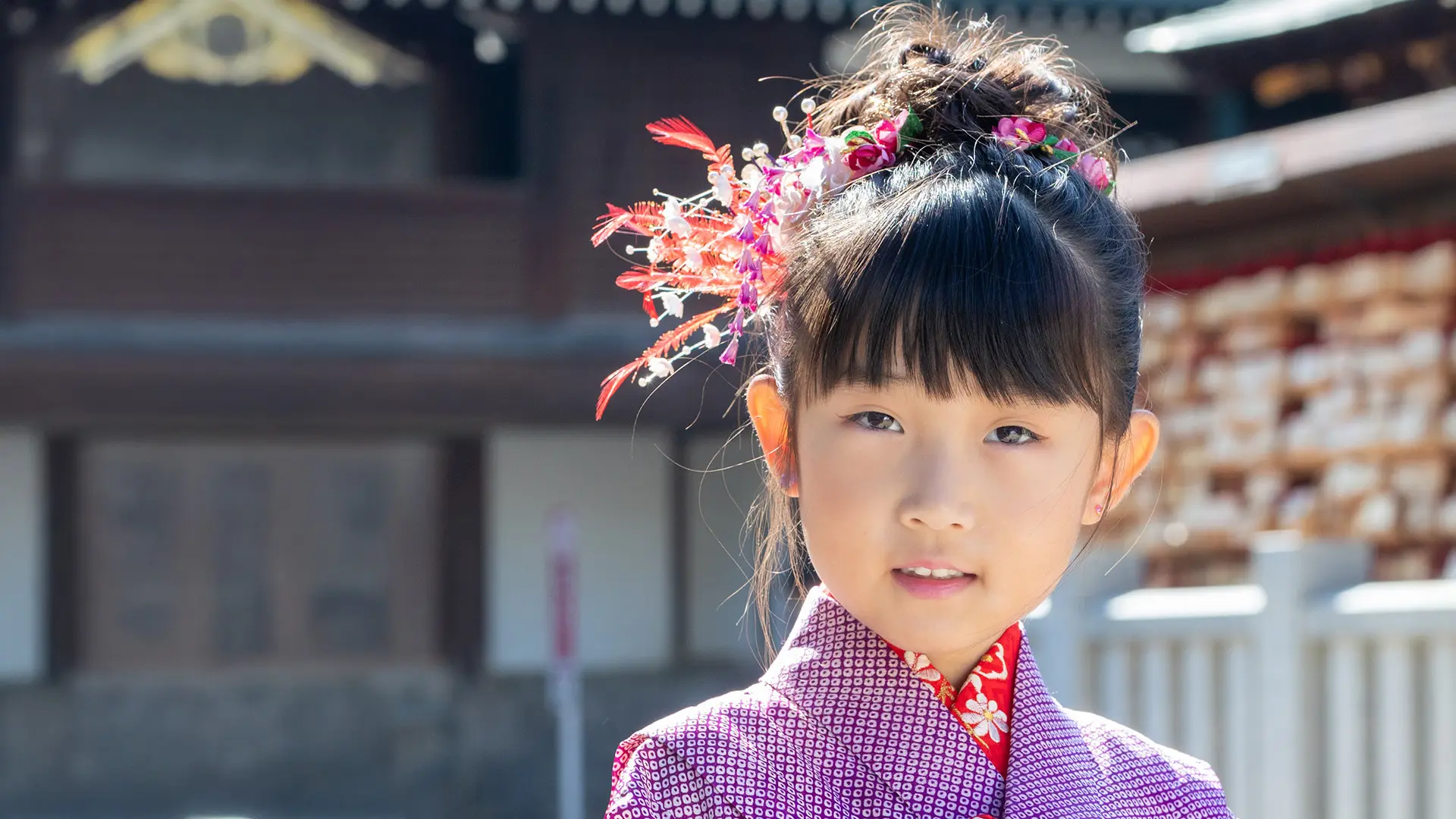 七五三の記念写真(七歳) - 撮影事例・ポートフォリオ