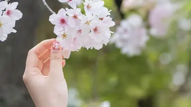 大阪天満宮の成人式写真