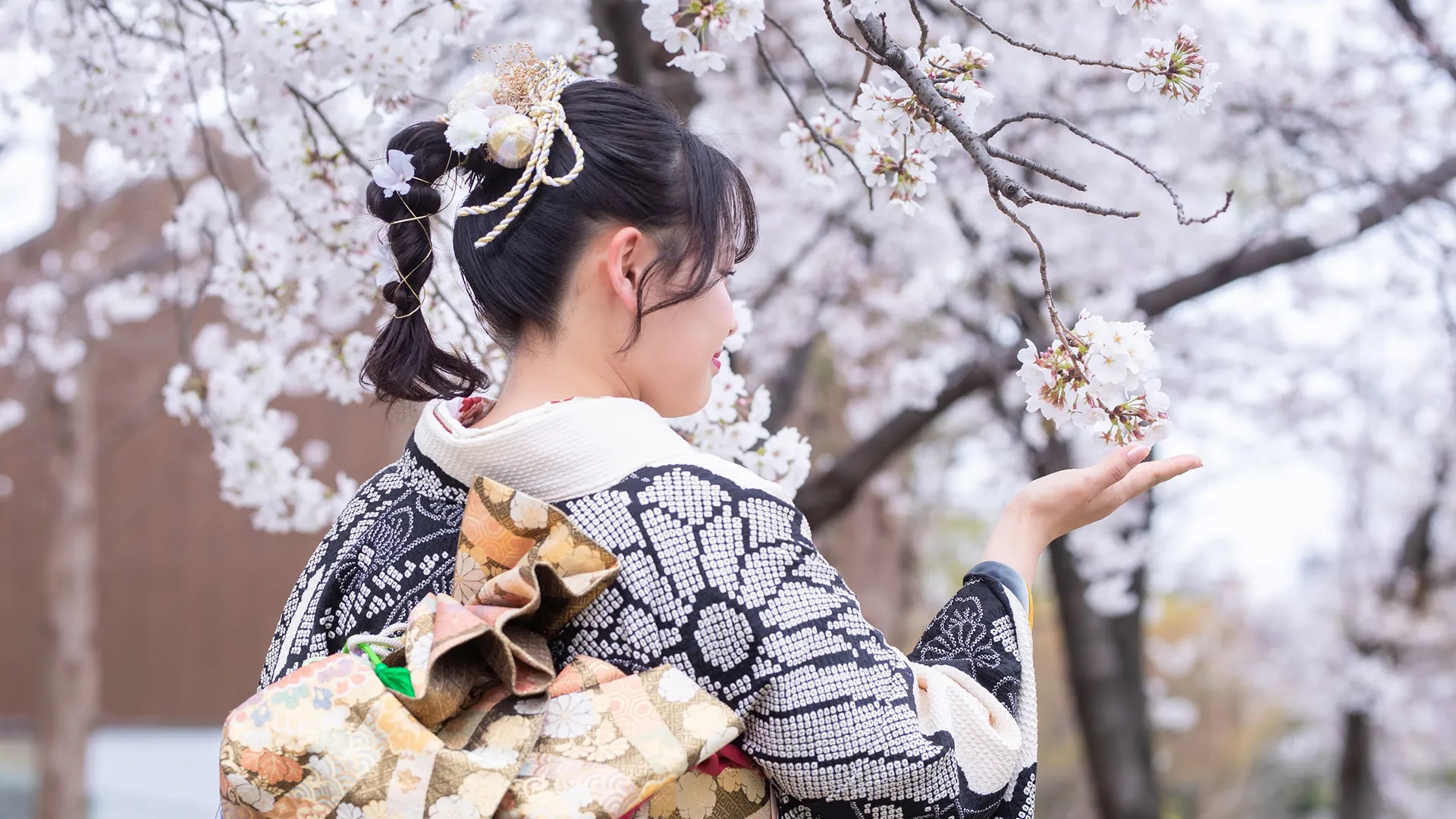 中之島公園の記念写真撮影 - 撮影事例・ポートフォリオ写真