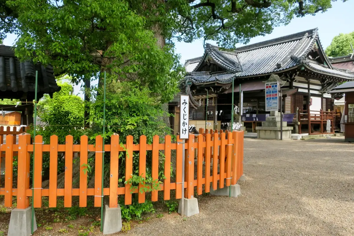 百舌鳥八幡宮の大きな楠